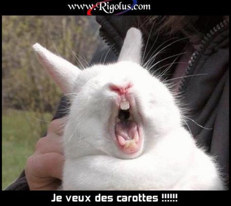 lui aussi!?